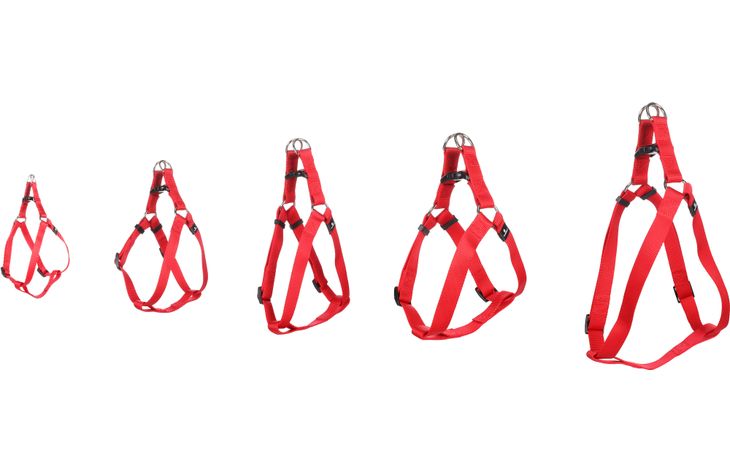Flamingo Harnas Step&Go Ziggi Rood