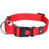  Halsband  Ziggi Rot