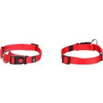 Collar Ziggi Red