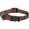 Halsband Ziggi Bruin