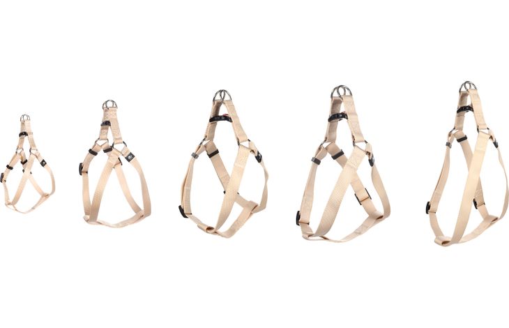 Flamingo Harnas Step&Go Ziggi Beige