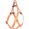 Pettorina Step&Go Ziggi Arancio