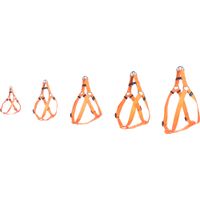Flamingo Harnas Step&Go Ziggi Oranje