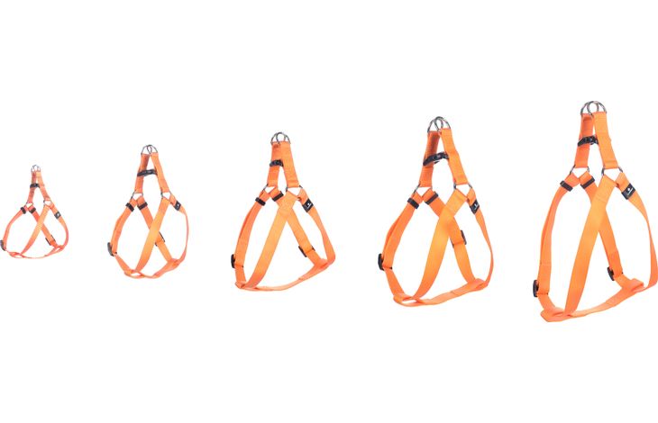 Flamingo Harnas Step&Go Ziggi Oranje