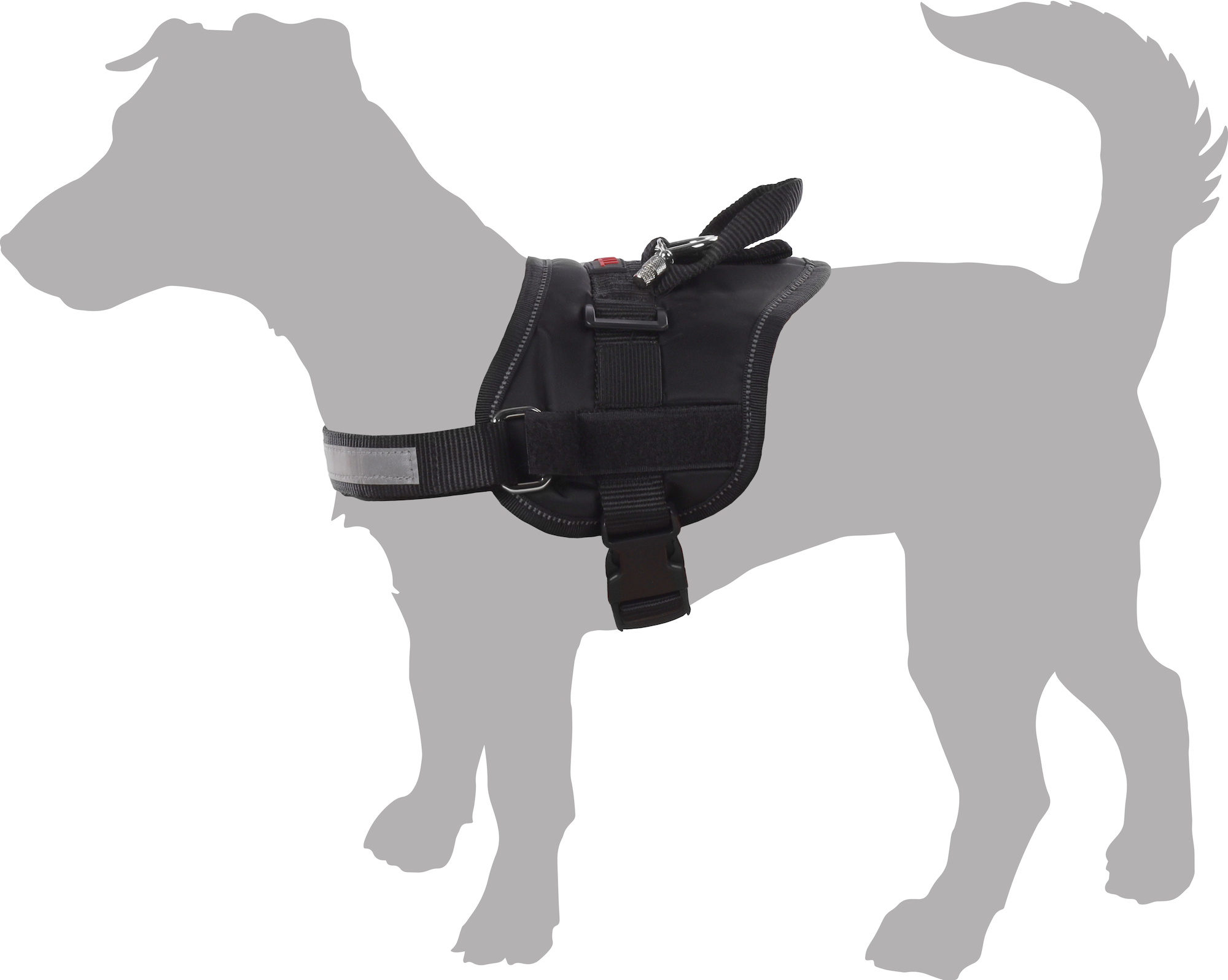 Flamingo Harness Titan Black