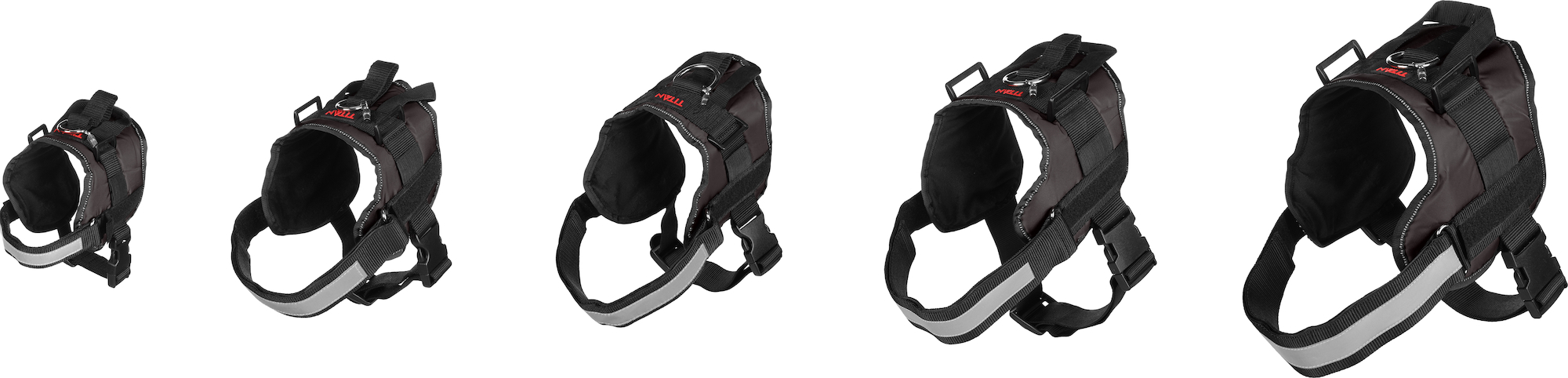 Flamingo Harness Titan Black