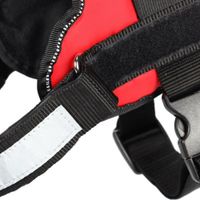 Flamingo Harness Titan Red