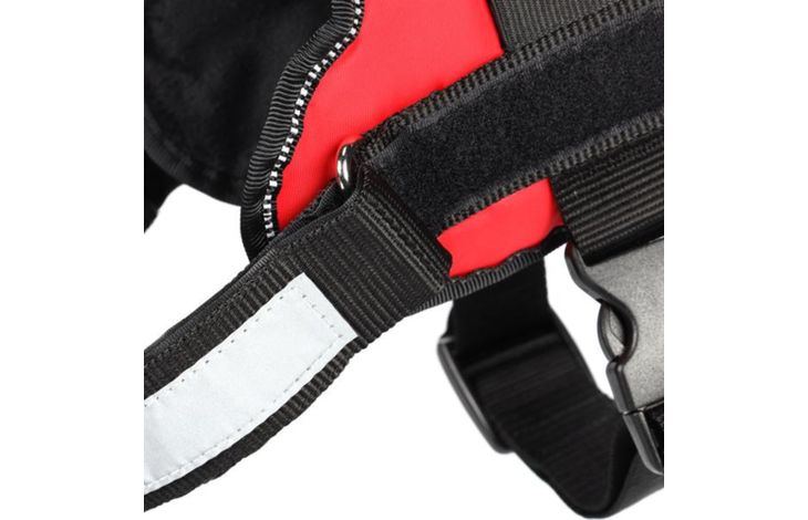 Flamingo Harness Titan Red