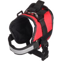 Flamingo Harness Titan Red