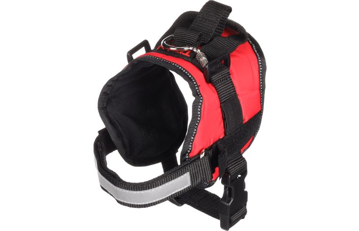 Flamingo Harness Titan Red