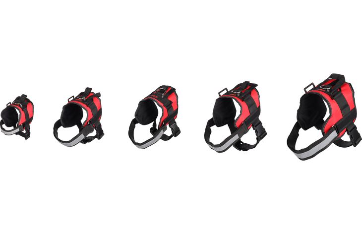 Flamingo Harness Titan Red