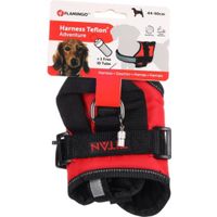 Flamingo Harness Titan Red