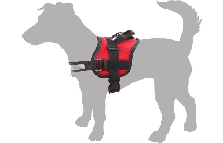 Flamingo Harnais Titan Rouge