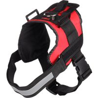 Flamingo Harness Titan Red