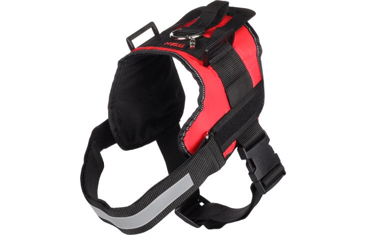 Flamingo Harness Titan Red