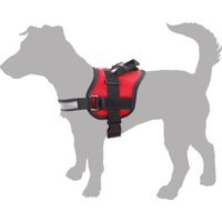 Flamingo Harness Titan Red