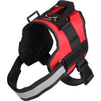 Flamingo Harness Titan Red