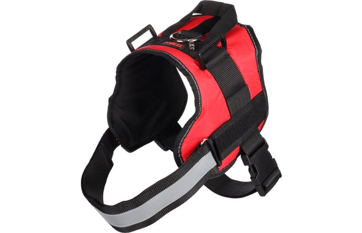 Flamingo Harness Titan Red