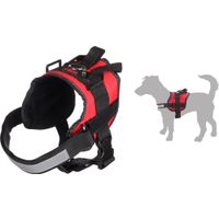 Flamingo Harness Titan Red