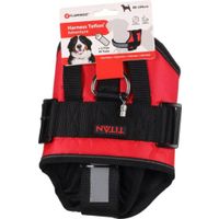 Flamingo Harness Titan Red