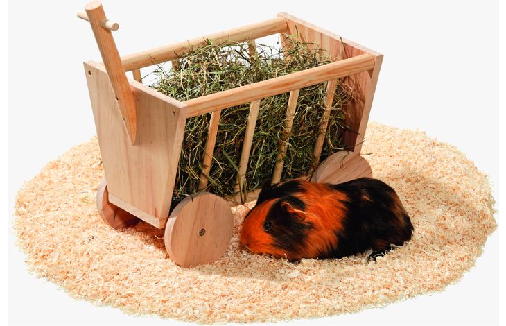 Flamingo Hayrack Bolderwagen Jeff