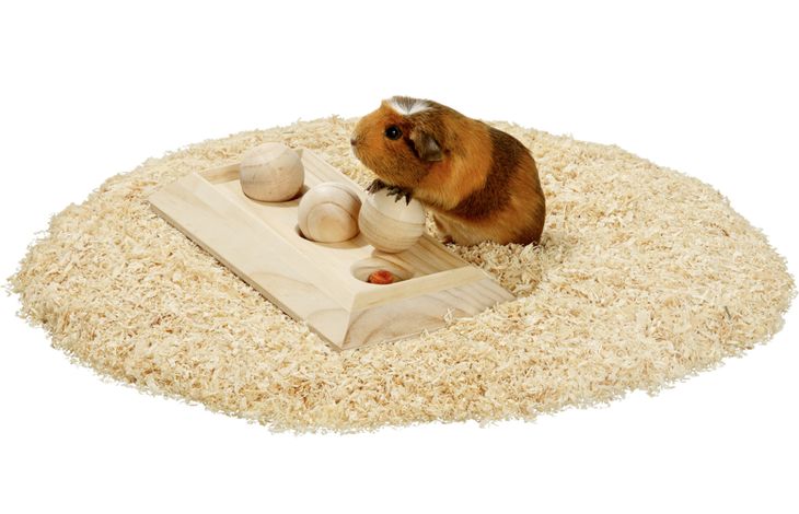 Flamingo Toy Brain train Rody  with ball Light brown