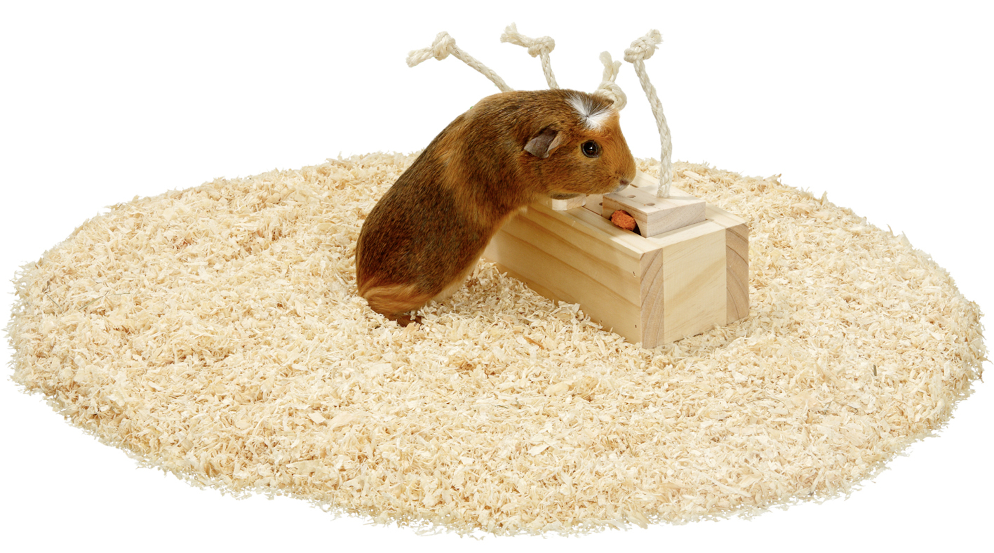 Flamingo Spielzeug Brain train Rody Schrank mit Seil Hellbraun