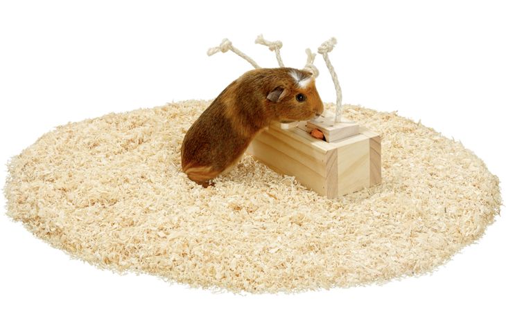 Flamingo Spielzeug Brain train Rody Schrank mit Seil Hellbraun