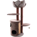 Arbre à chat Lotus Brun