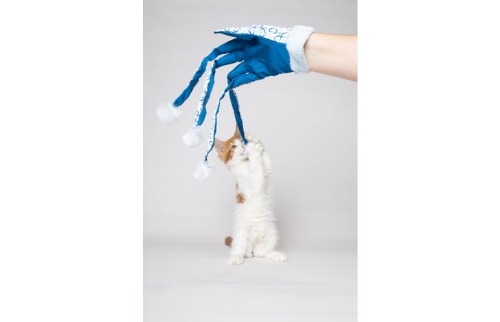 Flamingo Toy Ice Glove Blue & White