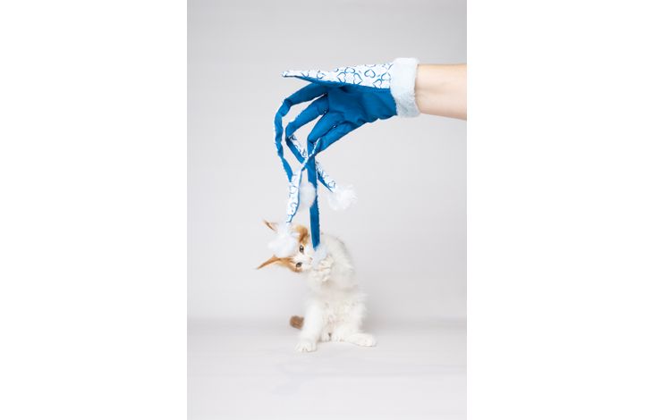 Flamingo Toy Ice Glove Blue & White
