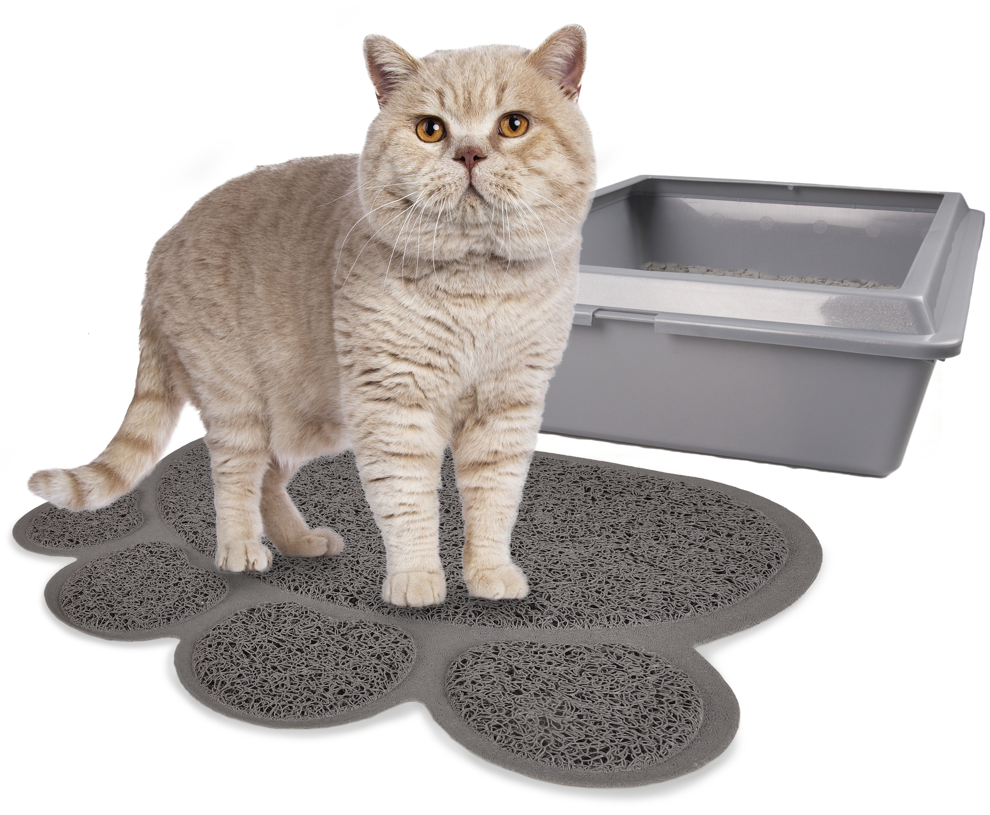 Flamingo Cat litter tray mat Pitou Matti Grey