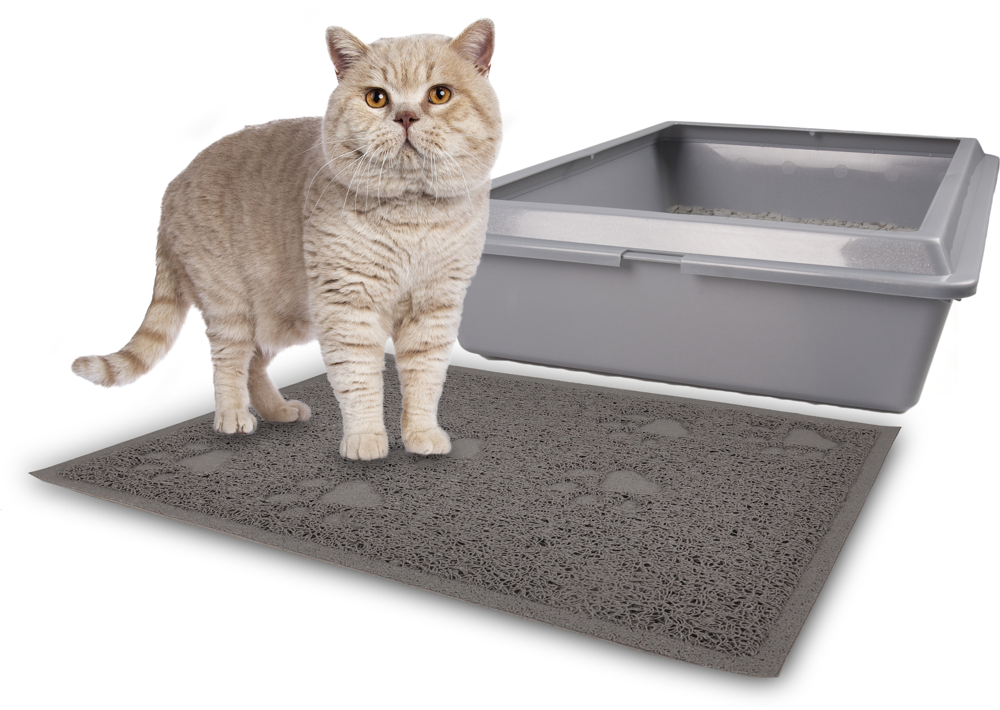 Litter tray mat best sale