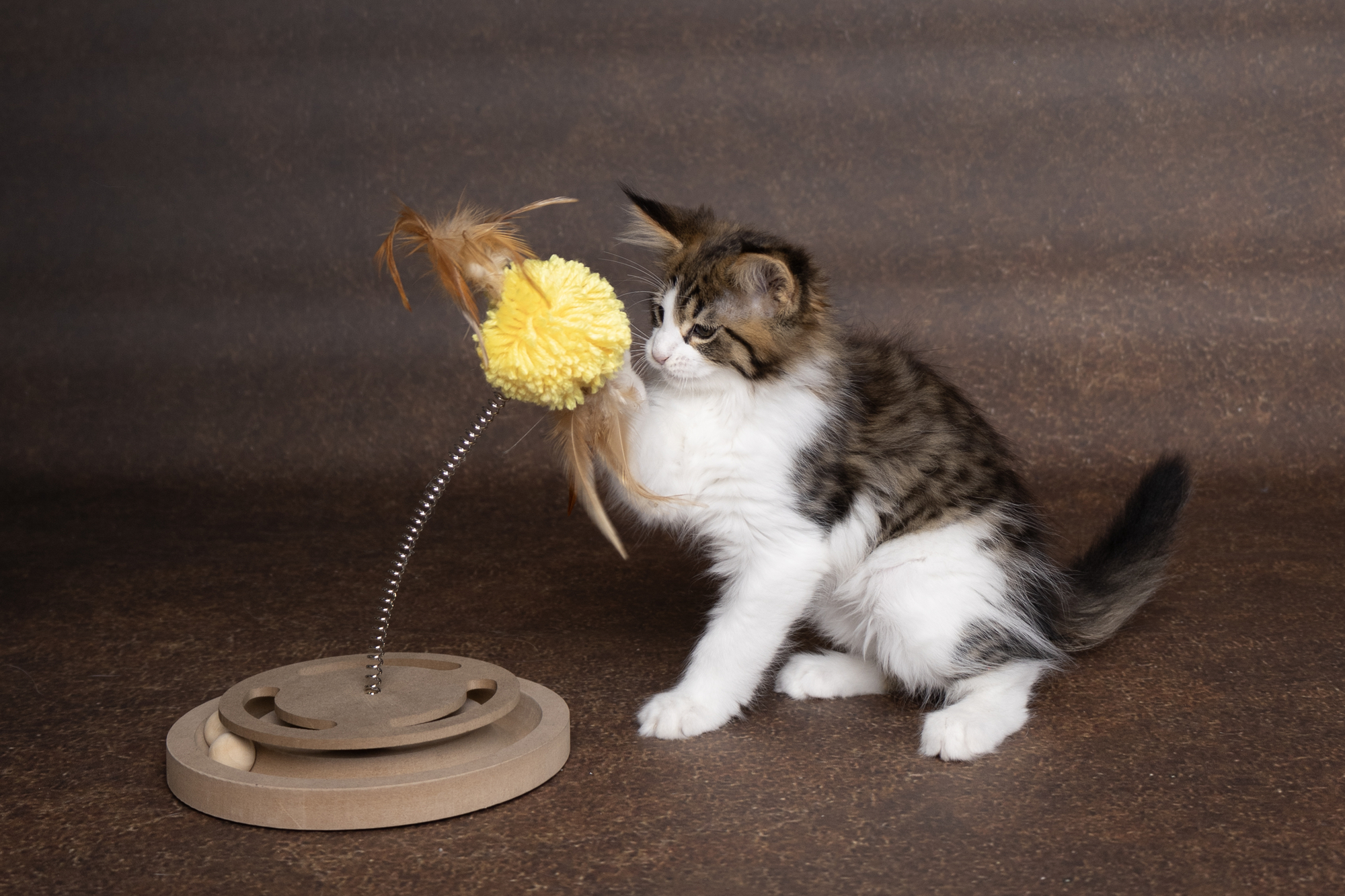 Flamingo Krabspeelgoed Kitty Lichtbruin