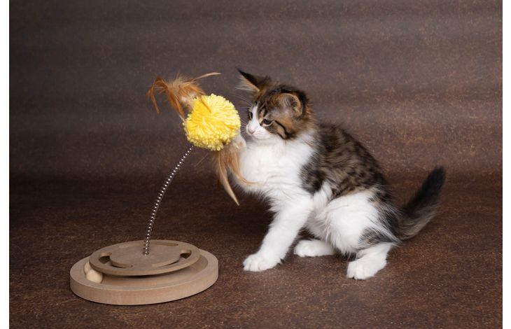Flamingo Krabspeelgoed Kitty Lichtbruin