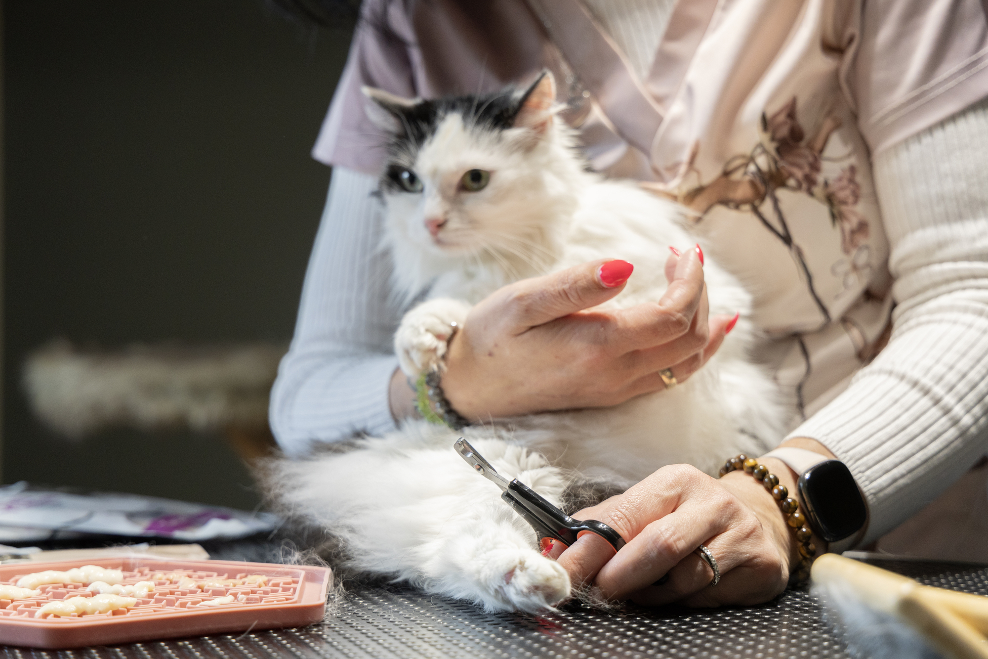 Flamingo Nail scissors Franco