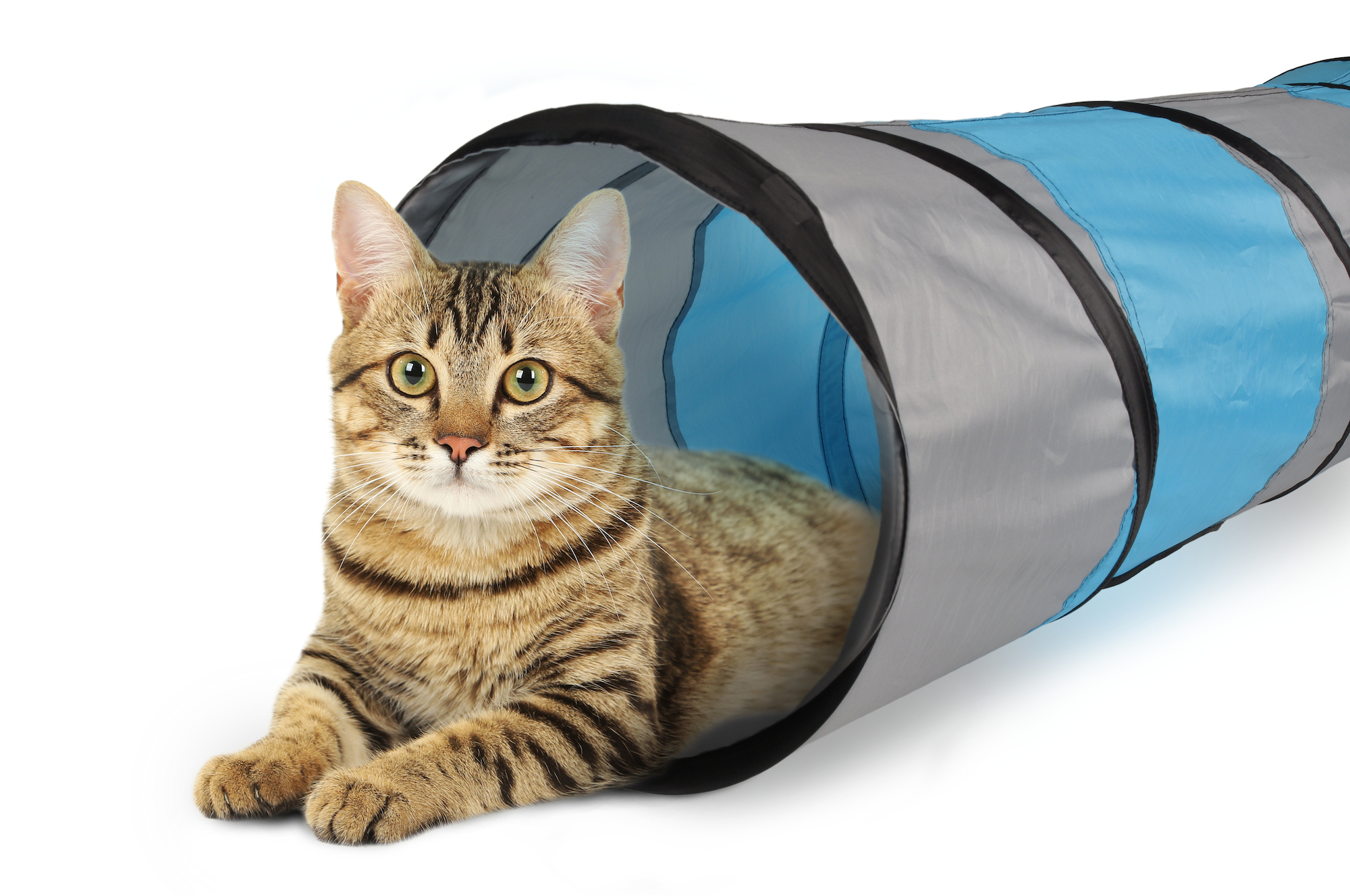 Flamingo Toy Linz Tunnel Grey & Blue