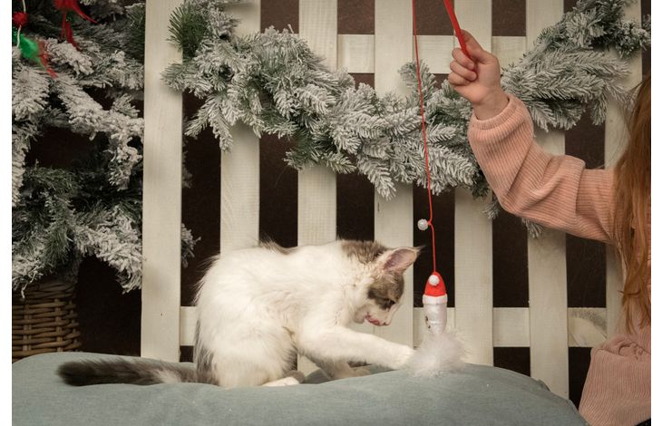 Flamingo Kerst Speelgoed Doni Meerdere uitvoeringen 