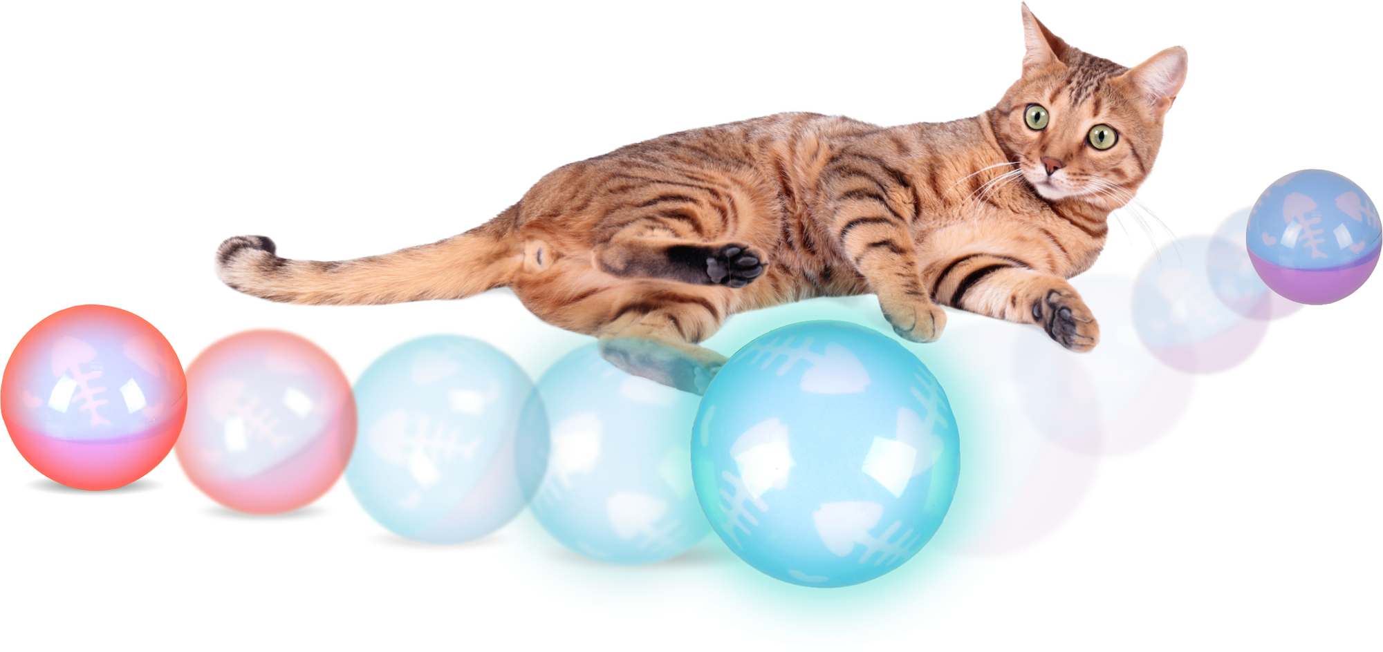 Flamingo Spielzeug Williene Ball Mehrere Farben