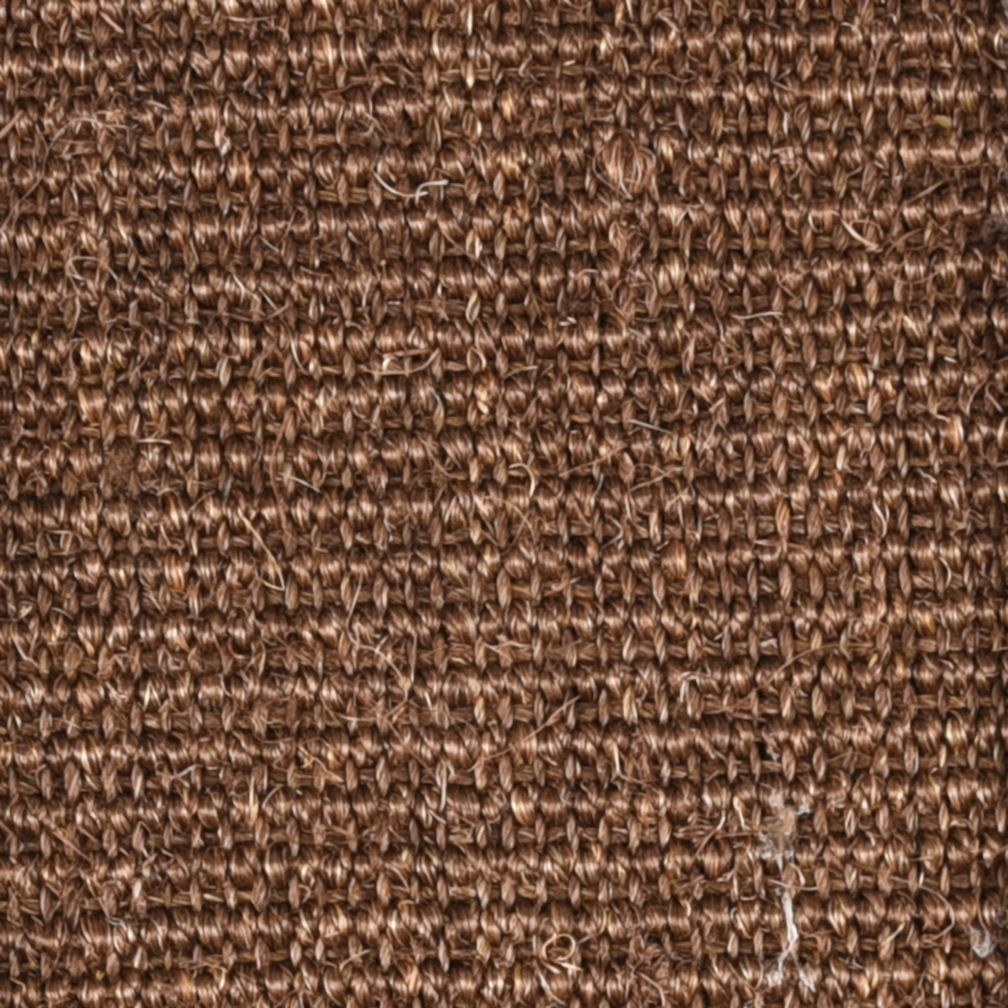 Flamingo Scrathching board Shiro Brown & Dark brown