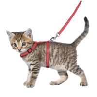 Flamingo Harness with leash Kitten Aiwa Multiple colours