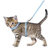 Flamingo Harness with leash Kitten Aiwa Multiple colours