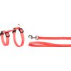 Harness with leash Kitten Aiwa Multiple colours  / 