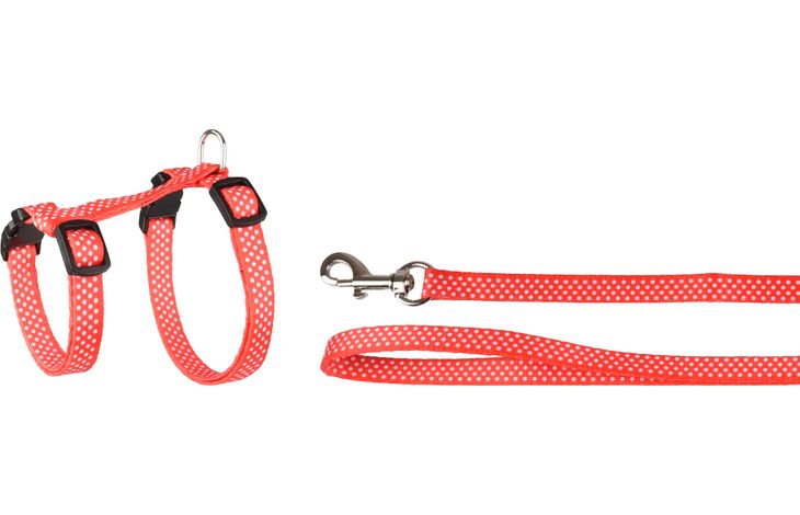 Flamingo Harness with leash Kitten Aiwa Multiple colours