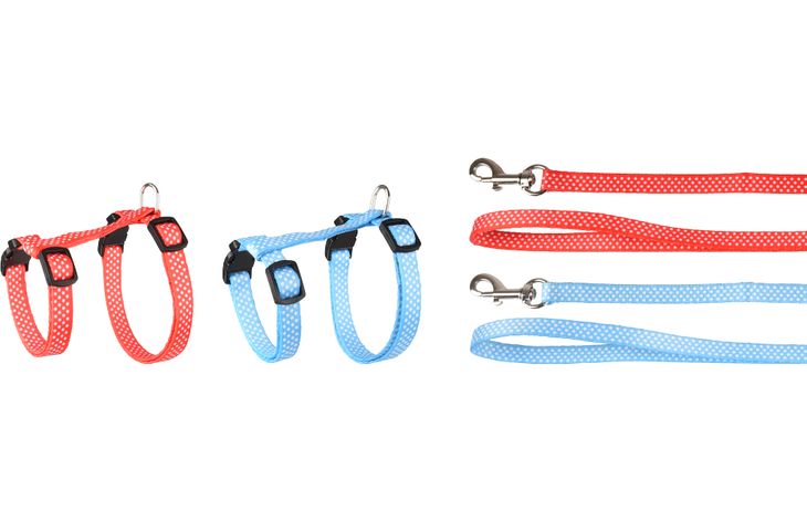 Flamingo Harness with leash Kitten Aiwa Multiple colours