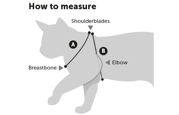 Flamingo Harness with leash Kitten Aiwa Multiple colours