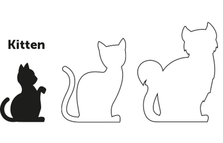 Flamingo Harness with leash Kitten Aiwa Multiple colours