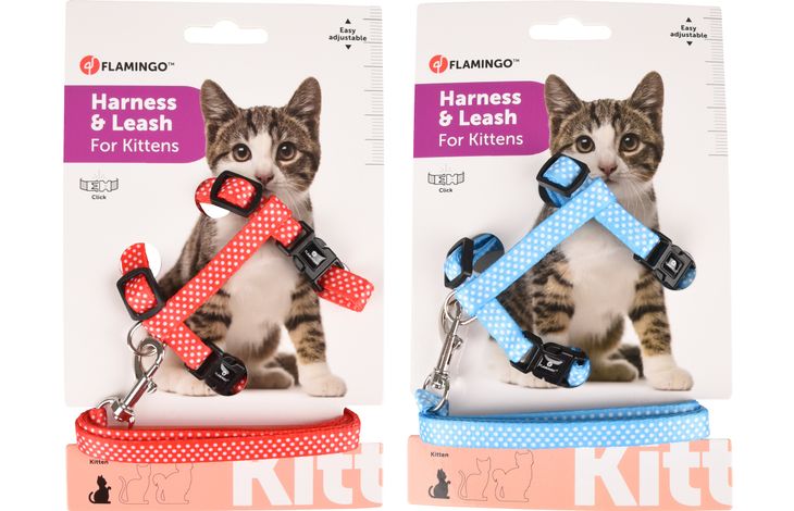 Flamingo Harness with leash Kitten Aiwa Multiple colours