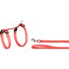 Harness with leash Aiwa Multiple colours  / 
