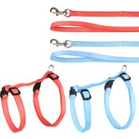 Flamingo Harness with leash Aiwa Multiple colours